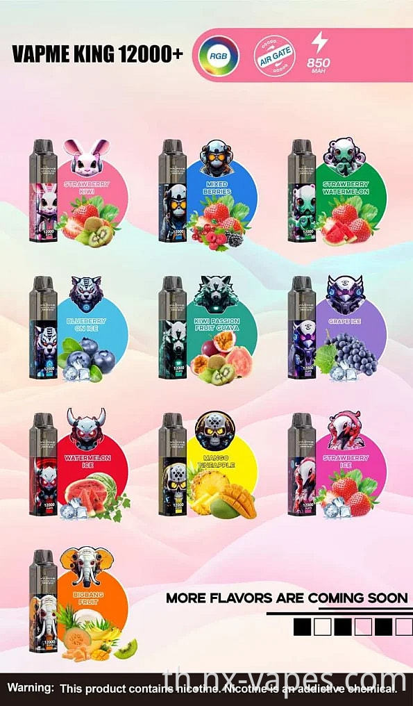 VAPME KING 12000 (5)